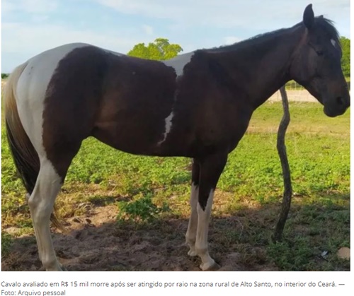 CEARÁ – Raio mata cavalo durante chuva em Alto Santo « Sobral Agora – De  Sobral para o Mundo